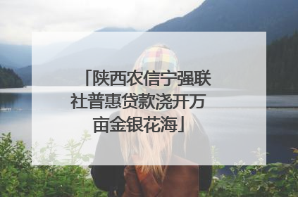 陕西农信宁强联社普惠贷款浇开万亩金银花海